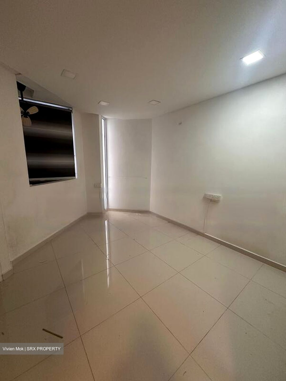 Elizabeth Heights (D9), Condominium #536138701